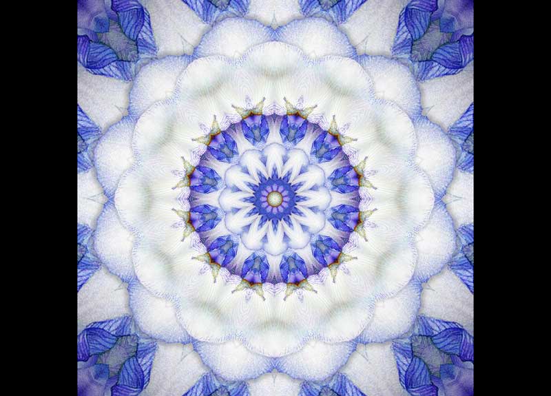 HOROSCOPO