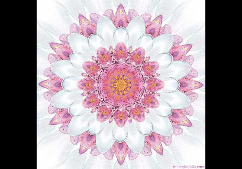 HOROSCOPO