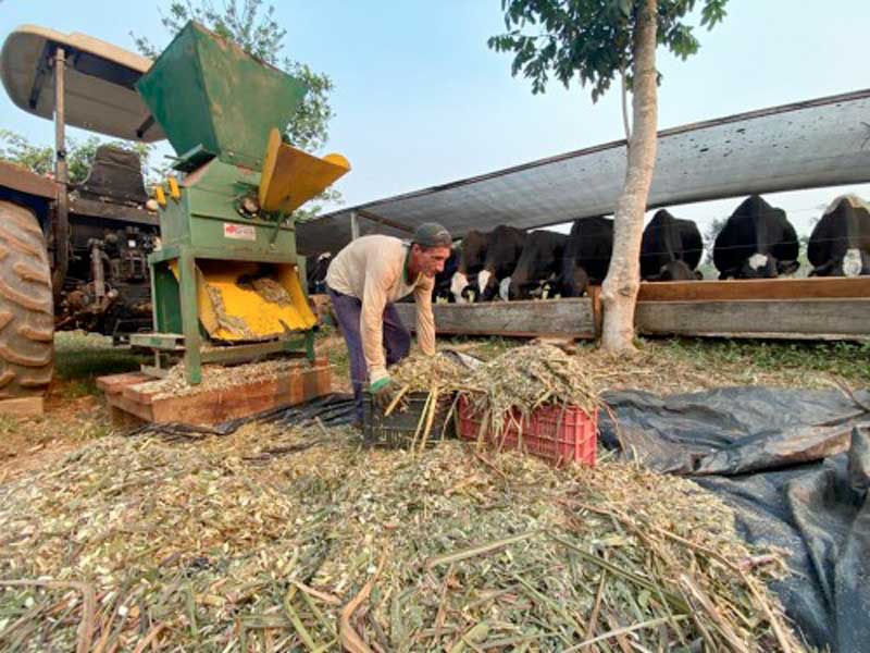 agricultor