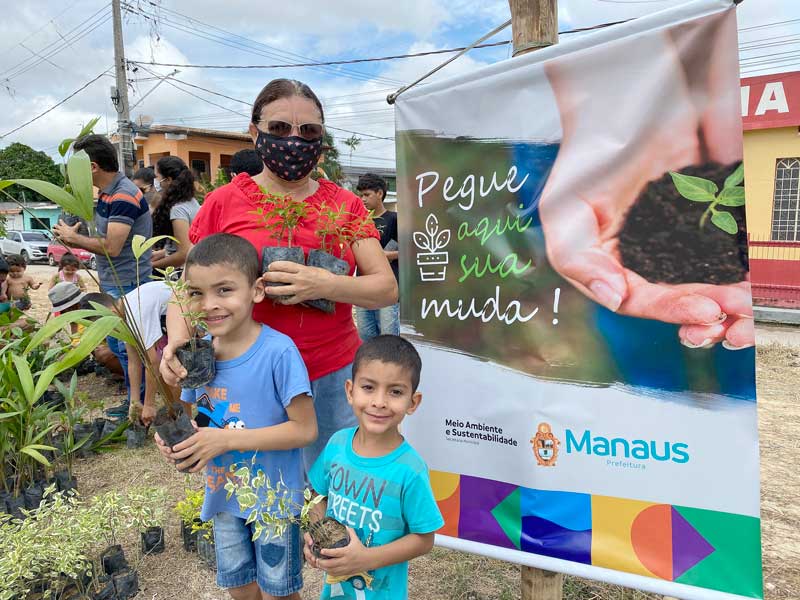 Mudas-de-planta