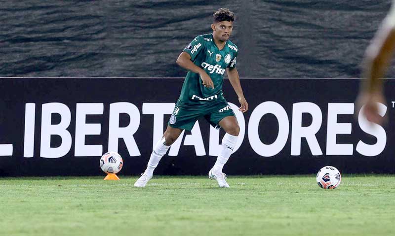 PALMEIRAS