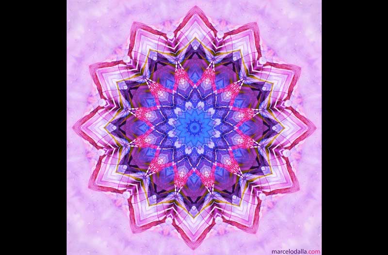 horoscopo