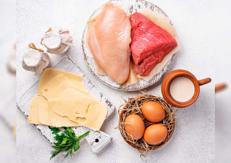 ALIMENTOS-DE-ORIGEM-ANIMAL