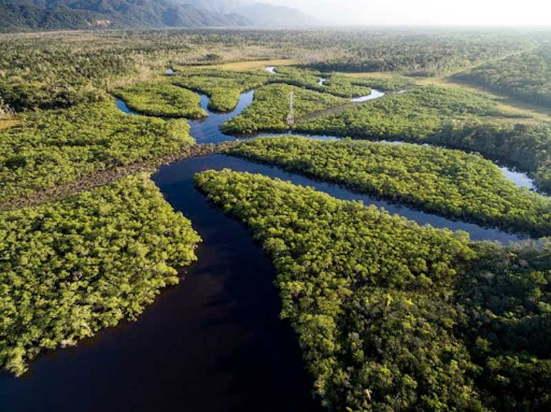 AMAZONIA