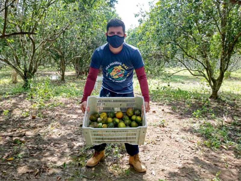 agricultor