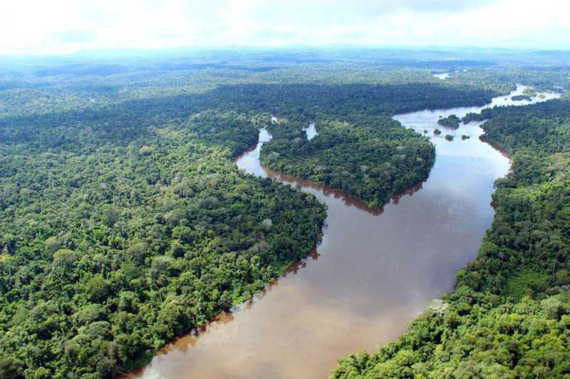 amazonia