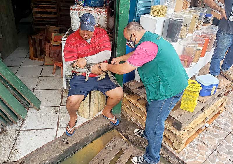 vacinas-para-cães-e-gatos-nas-áreas-de-risco