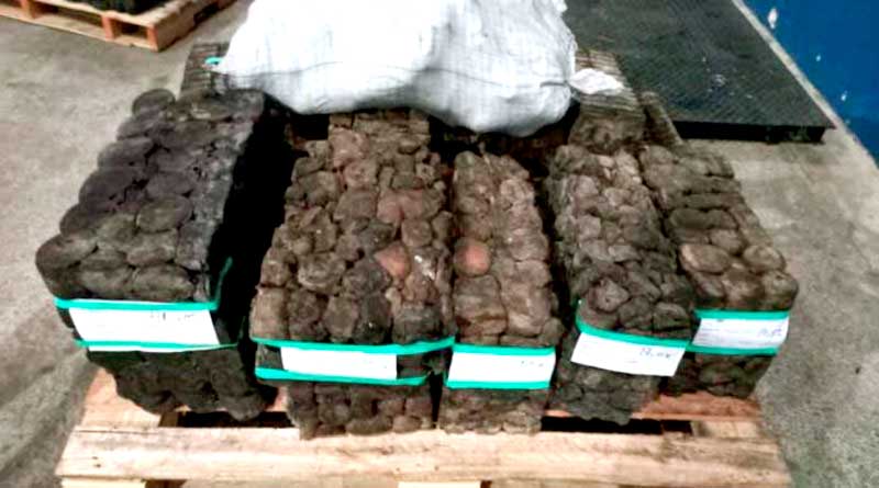 Borracha-Ruberon-696x387