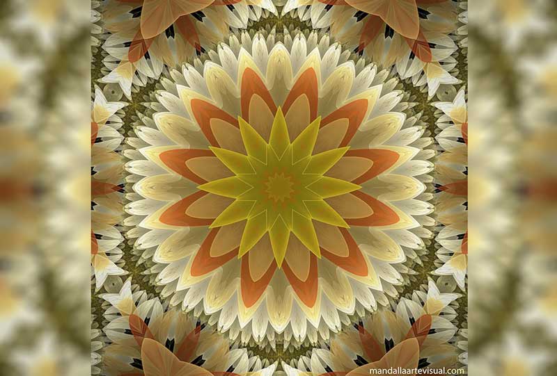 Horóscopo do Dia: Previsões para 31 de outubro de 2025