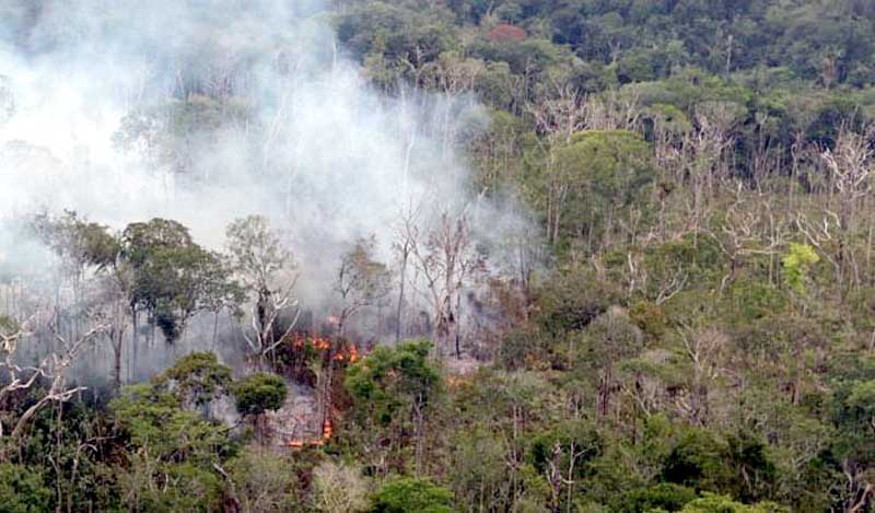 Queimadas-Amazonia
