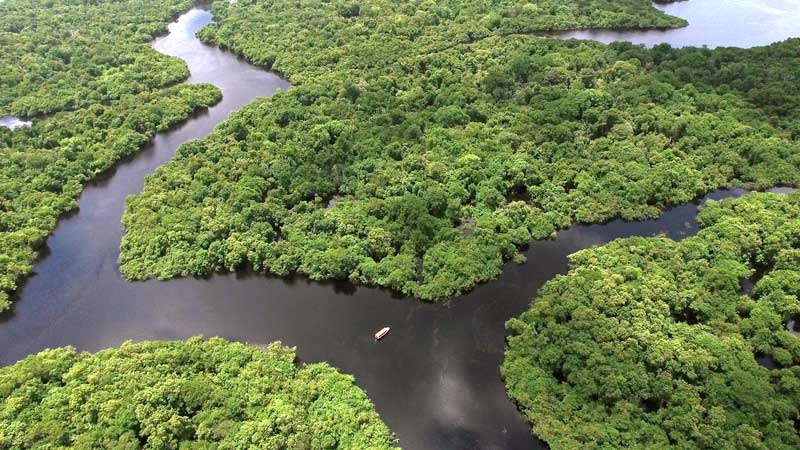 floresta-amazonica