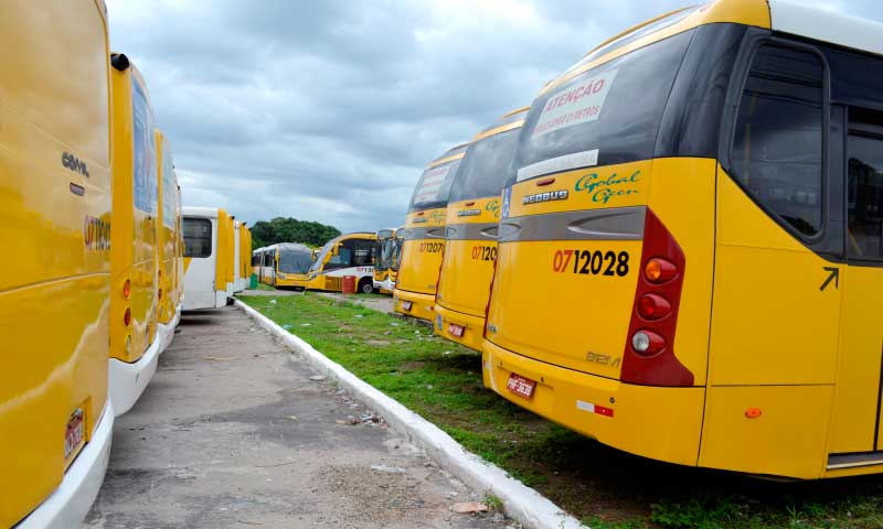 Onibus-greve-GLOBAL-GREEN