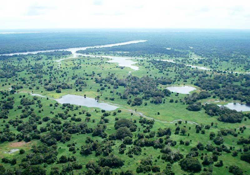 RESERVA-DE-MAMIRAUA