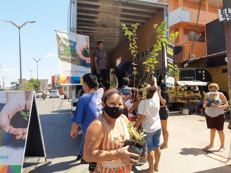 doacao-de-MUDAS-de-plantas