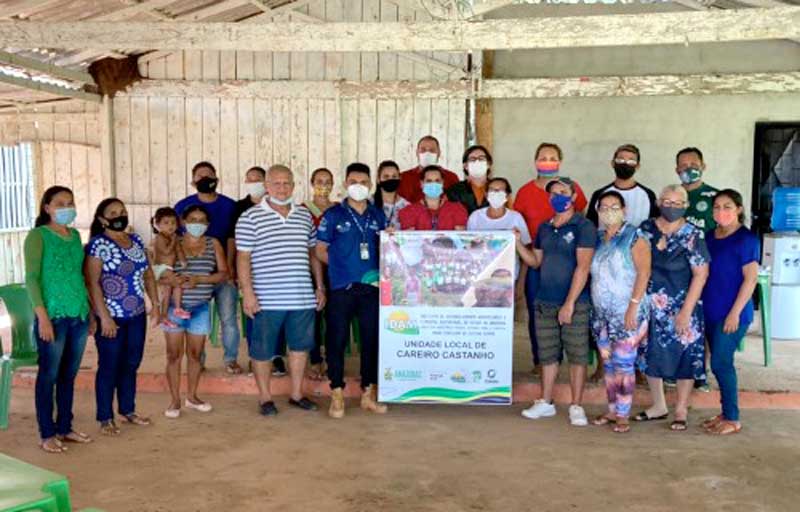 representantes-do-CAREIRO-DA-castanho