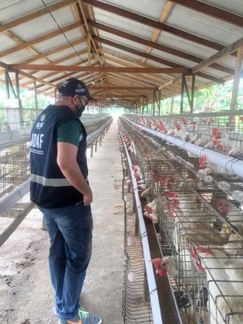 adaf-GRANJAS-em-tefe