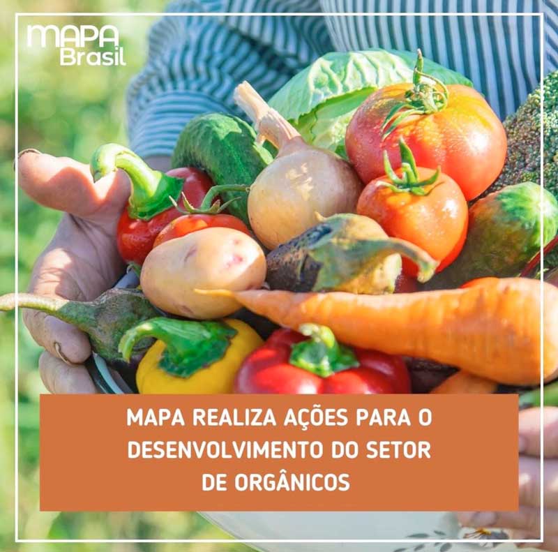mapa-setor-de-organicos