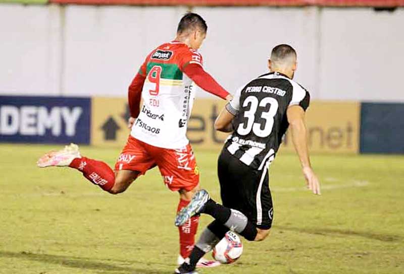 Brusque-e-Botafogo