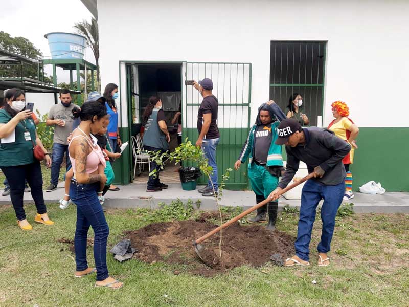 doacao-de-mudas-ZONA-leste