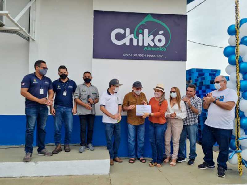 beneficiamento-de-pescado-em-manacapuru