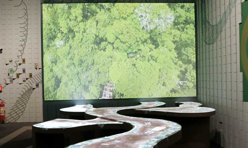 museu-do-amanhã_tempos_amazonicos