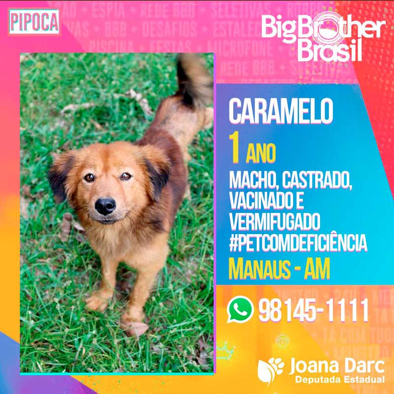 Jona-Darc-BBB-dos-amimais