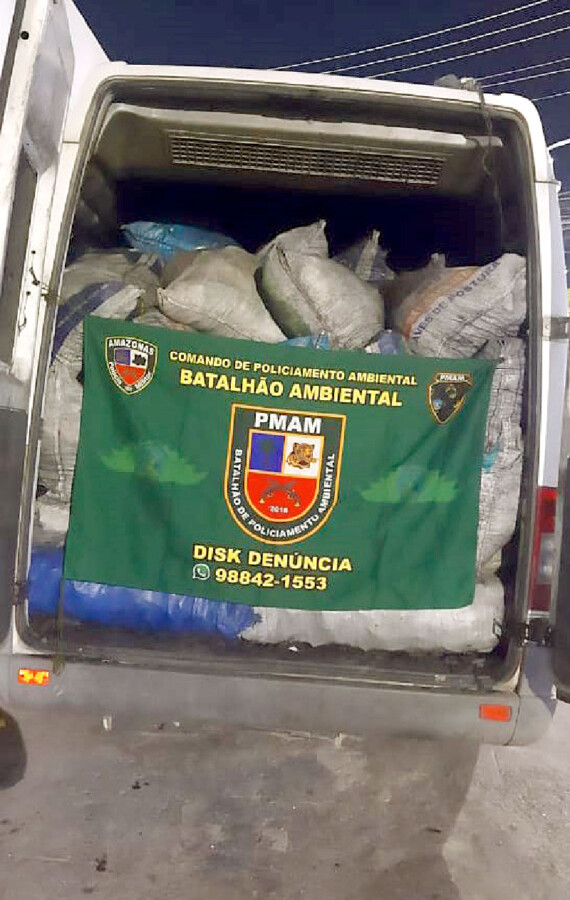 carga-de-carvao-vegetal-ilegal