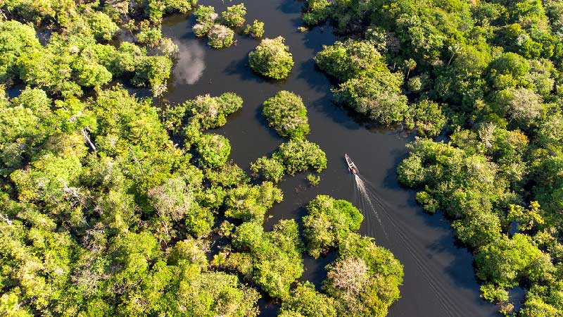 Floresta-Amazonica