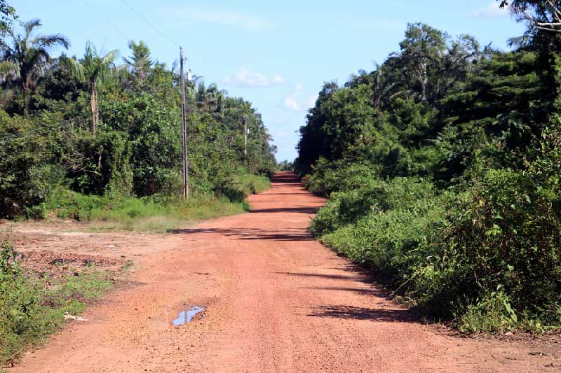 Ramal-do-Mapia-em-BORBA