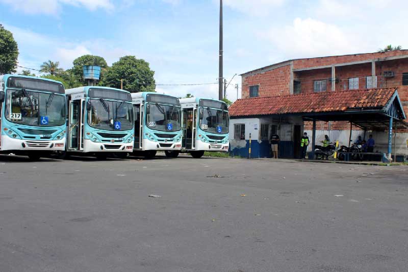 VISTORIA-IMMU-terminal-de-onibus