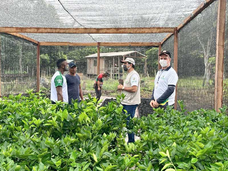 sementes-de-açaí-sao-destribuidas-em-comunidade-rural-no-careiro