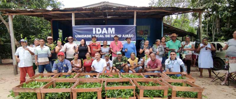 Idam_Mudas-de-Castanha-em-Novo-Airao