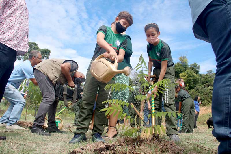 Prefeitura-refloresta-área-com-mais-de-4-hectares