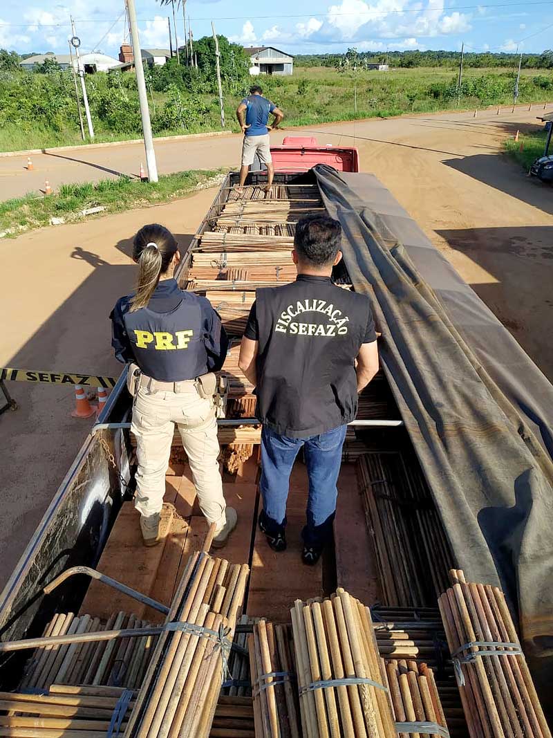 Sefaz-AM-apreende-carga-ilegal-de-madeira-humaita