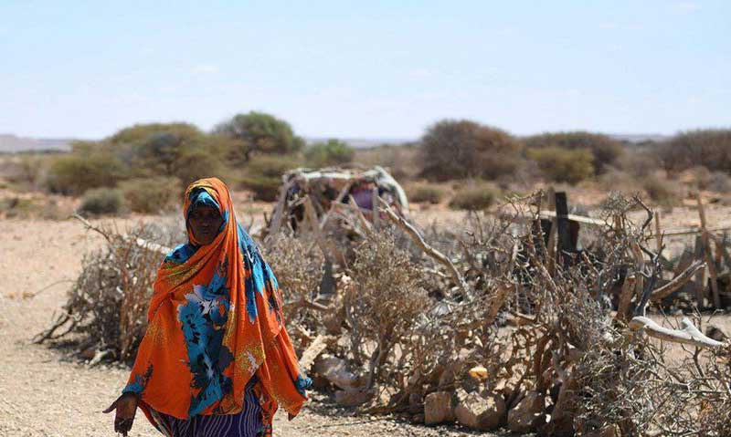 África-Ocidental-enfrenta-catástrofe-alimentar