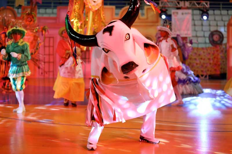BOI-CORRE-CAMPO