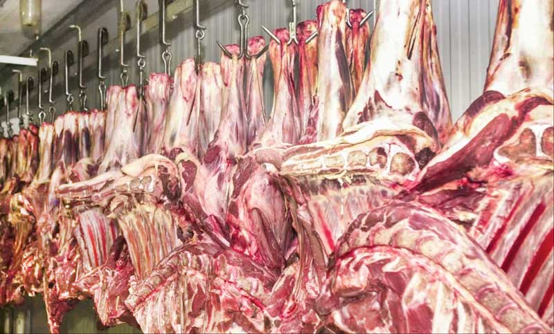 China-suspende-compra-de-carne-bovina-da-JBS