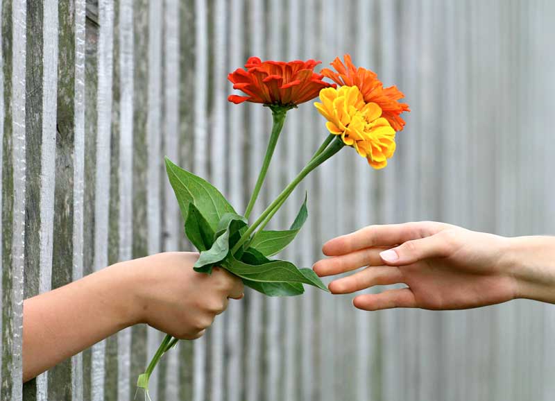 Dias-das-Maes-FLORES