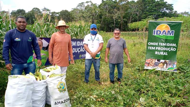 Idam-investe-na-produção-de-milho-em-MANAQUIRI