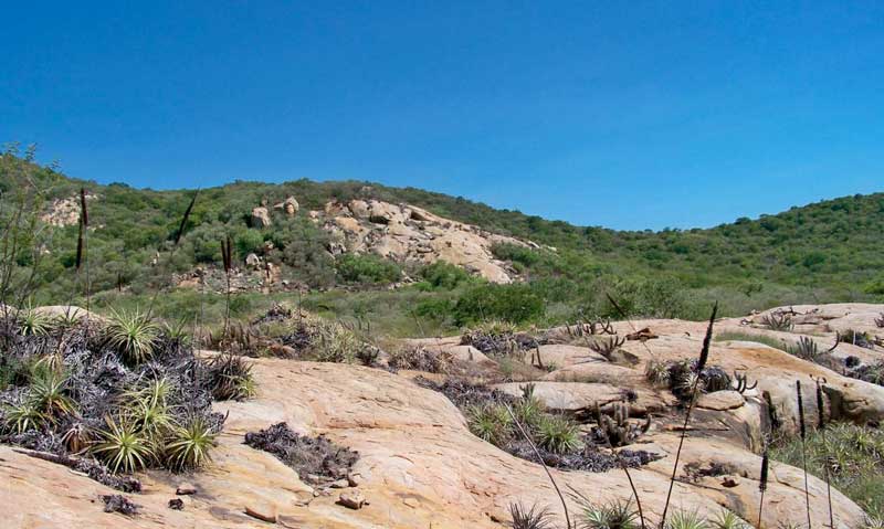araripe-geoparque-brasileiro