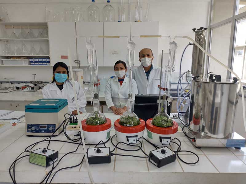 Planta-conhecida-como-oleo-eletrico_1