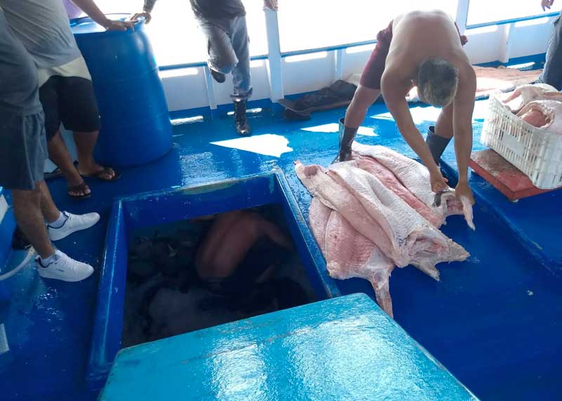 Base-Arpão-apreende-mais-de-6-toneladas-de-pescado-ilegal-dentro-de-embarcação