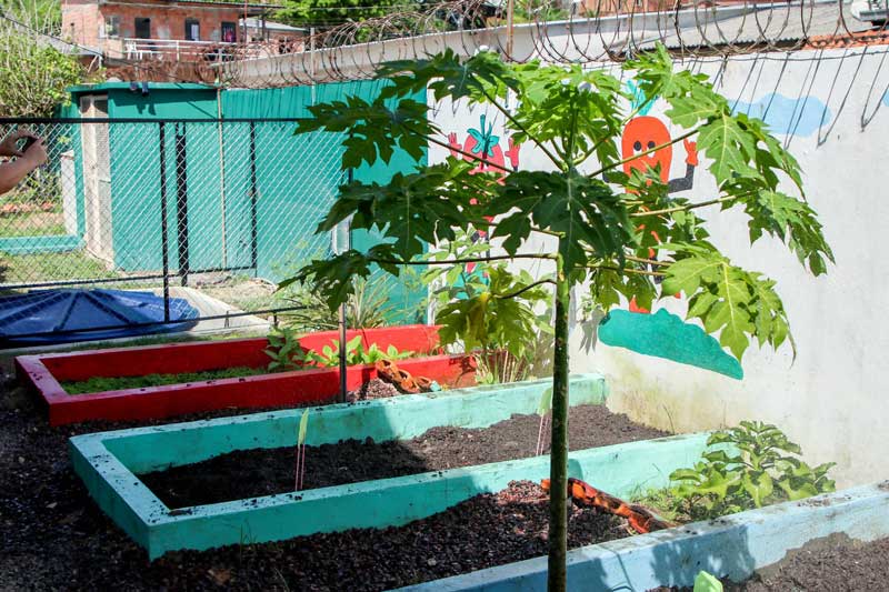 Cmei-da-zona-Norte-implanta-o-projeto-Captação-de-Água-da-Chuva
