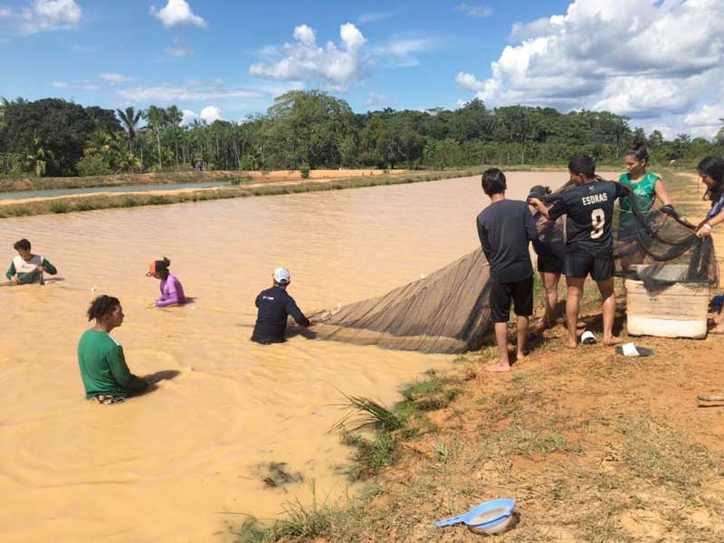 Sepror-Curso-de-Manejo-da-Piscicultura-em-Tefe