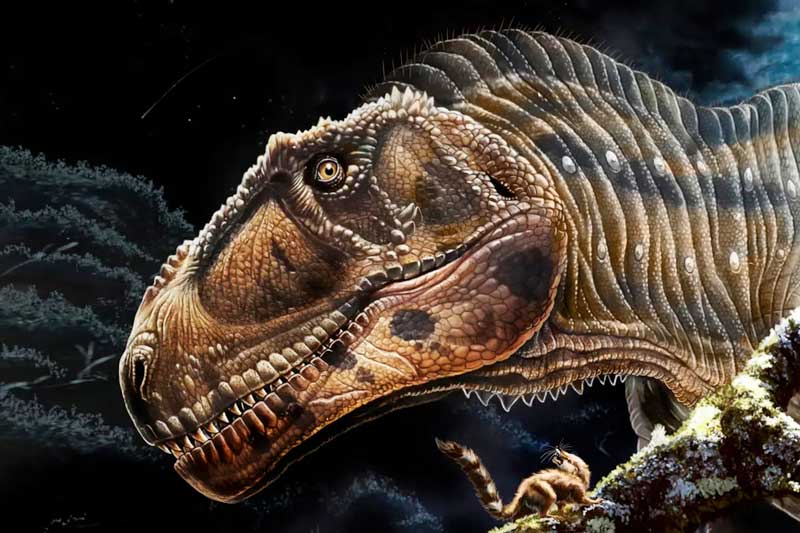 Achado-dinossauro-carnívoro-gigante-com-braços-pequenos-como-o-Tyrannosaurus-rex