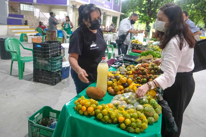 Agricultura-amazonense-se-beneficia-com-Projetos-e-Leis-criados-na-Aleam