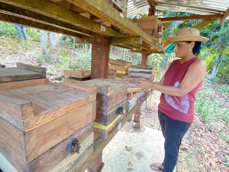 divas-do-agro-manaus