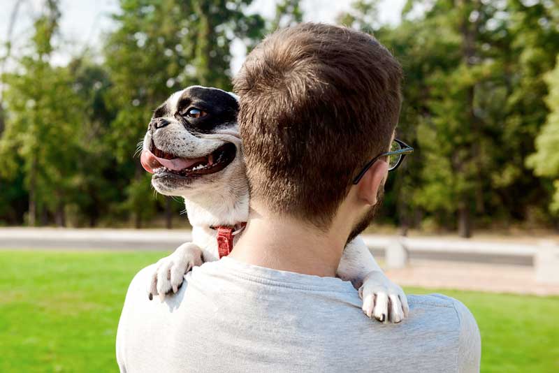 Saiba-quais-cuidados-tomar-com-os-pets-no-verão-amazônico