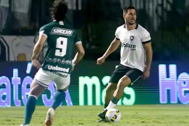 Botafogo-marca-no-fim-e-vence-Goiás