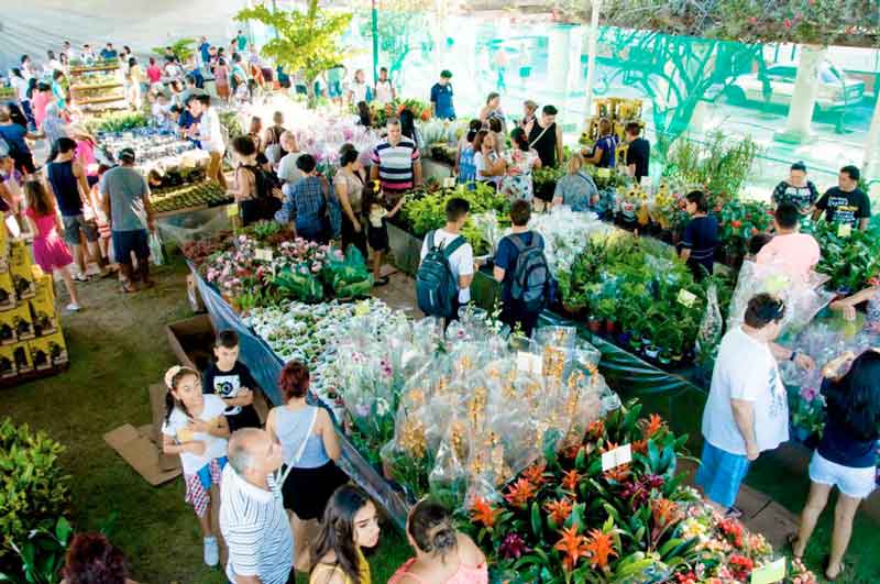 Feira-de-Flores-de-Holambra-volta-a-Manaus-a-partir-do-dia-16-de-setembro